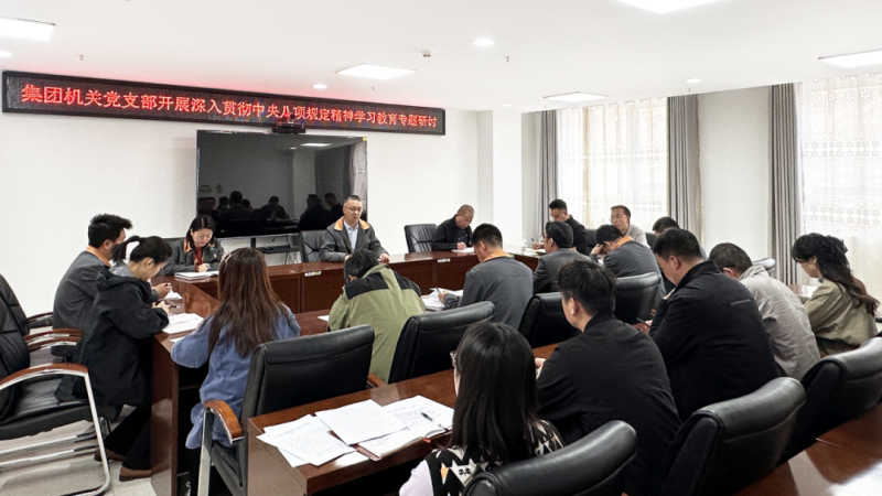集團機關黨支部開展深入貫徹中央八項規定精神學習教育專題研討