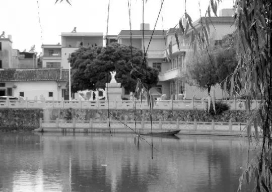 老鄉(xiāng)眼里的李河君：陌生富豪，夫人助其發(fā)財(cái)