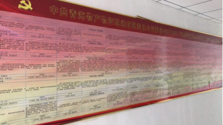 物產配送公司黨委“黨的建設重點強化年”活動2018年工作任務、組織保障具體化